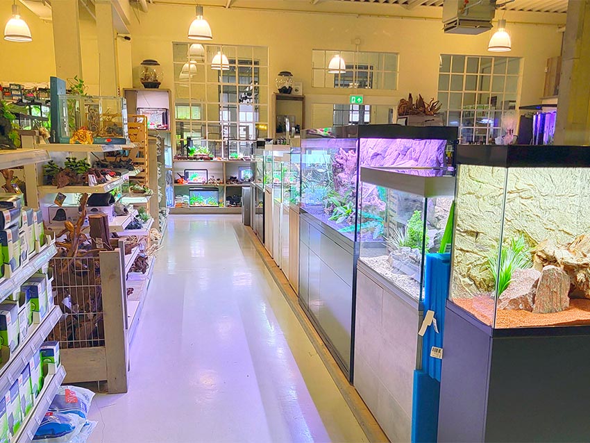 Uitgebreide aquarium- en terrariumafdeling