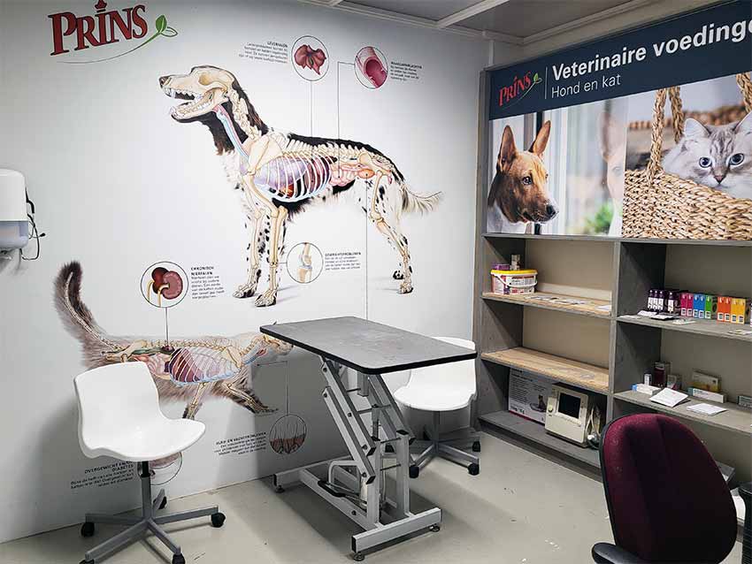 Consult / spreekuur dierenarts Nijkerk